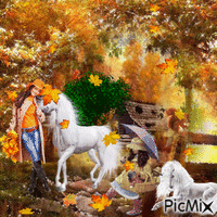 Autumn forest animeret GIF