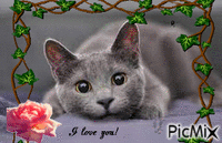 The welcome to spring card <3 - Ingyenes animált GIF