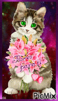 Gato con Flores - GIF animado gratis