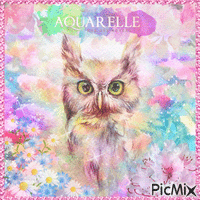 Owl - Watercolor - GIF animé gratuit