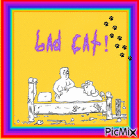 Bad Cat - GIF animé gratuit