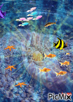 fish - GIF animé gratuit