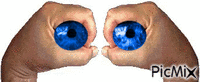 oczy1 - 免费动画 GIF