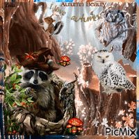 Autumn Beauty. I love... autumn.  In the forest, animals アニメーションGIF