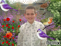 Птицелов - Безплатен анимиран GIF