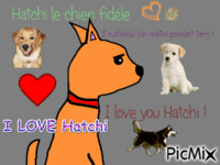 Hatchi le chien fidèle - GIF animé gratuit