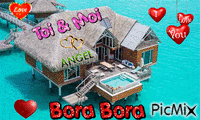 bora Animated GIF