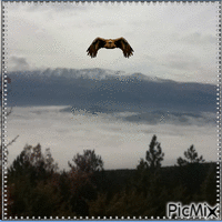 Un tappeto di nuvole - Zdarma animovaný GIF