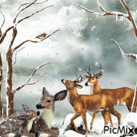 ciervos en la nieve GIF animé