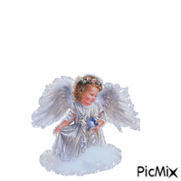angelo - Bezmaksas animēts GIF