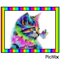 CHAT MULTICOLORE - darmowe png