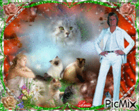 L'Amour pour les chats, merveilleux ♥♥♥ animovaný GIF