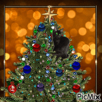 black cat 😻❣ animovaný GIF