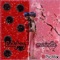 Ladybug & Marinette ❤️ elizamio