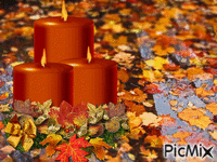 autumn - Gratis animerad GIF