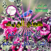 صباح الحب فى الله 120 - Безплатен анимиран GIF
