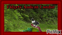 Fidgety Andean condor - Bezmaksas animēts GIF