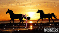 horse - Nemokamas animacinis gif