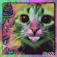 3d color cat - Free animated GIF