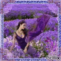 Lavender field - GIF animé gratuit