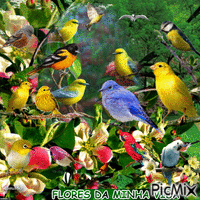 BIRDS - Бесплатни анимирани ГИФ