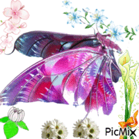 joli papillon animowany gif