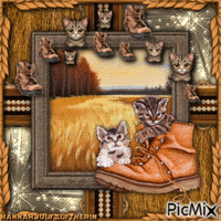 ♦Kittens in Boot♦ GIF animata