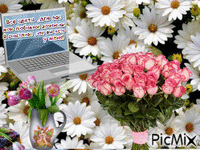 цветы Animated GIF