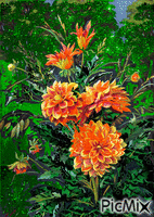 kvety animovaný GIF