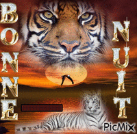 tigres - Darmowy animowany GIF