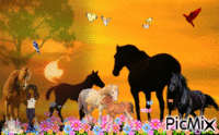 la liberté   des s' animaux - Безплатен анимиран GIF