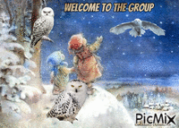 Winter welcome owl