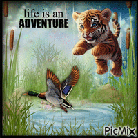 LIFE IS AN ADVENTURE Animated GIF