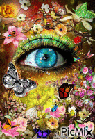 ojo mariposa - GIF animado grátis