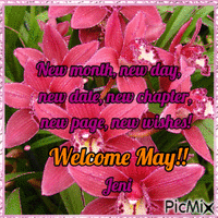 Welcome May!! - GIF animado grátis