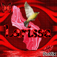 Larissa - Δωρεάν κινούμενο GIF