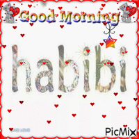 HABIBI Animated GIF