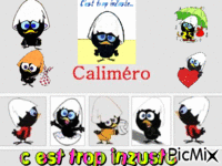 CALIMERO Animated GIF