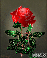 ruže GIF animado