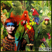 perroquets geanimeerde GIF