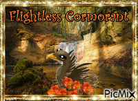 Flightless Cormorant - GIF animado gratis