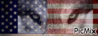 americain - 無料のアニメーション GIF