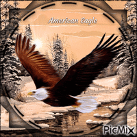 Eagle in the Winter-RM-01-22-23 - Безплатен анимиран GIF