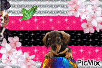 аз обичачам кучета - 無料のアニメーション GIF