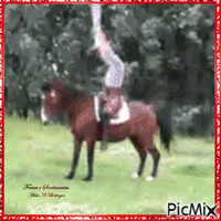 Cavalo para Dulce Maria - Δωρεάν κινούμενο GIF