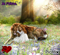 Alice pour l'amour des loups - Free animated GIF