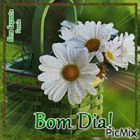 Bom Dia! - Δωρεάν κινούμενο GIF