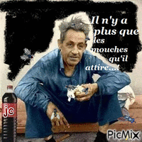 les mouches Animated GIF