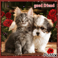 good friend - GIF animé gratuit