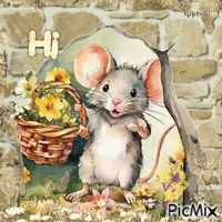 Cute fictional rat/mouse-contest - Gratis animeret GIF